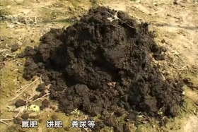 ༄༅།། ཚན་རིག་ཡོན་ཏན། ༼༠༡.༠༨༽