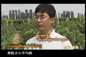 ༄༅།། ཚན་རིག་ཡོན་ཏན། ༼༠༩.༡༩༽