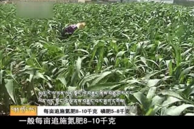 ༄༅།། ཚན་རིག་ཡོན་ཏན། ༼༠༦.༠༦༽