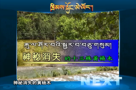 ཁྲིམས་སྐྱོང་མེ་ལོང་། ༼༡༧.༠༨.༣༡༽