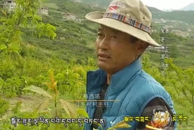 日多日记（170617）