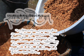 བཀྲ་དགའ་དང་ཆུ་གཤེར་རྩམ་པའི་གཏམ་རྒྱུད།