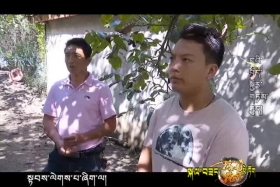 我的援藏故事 许春燕（170923）