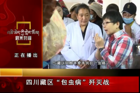 སི་ཁྲོན་བོད་ཁུལ་ནས་ཐུམ་འབུའི་ནད་འགོག་བཅོས་བྱེད་པ།