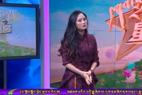 དགའ་སྤྲོའི་ཕོ་ཉ། ༼༡༨.༣.༣༡༽