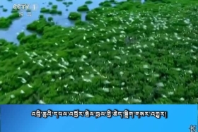 ཀྲུང་དབྱང་གསར་འགྱུར་མཉམ་བསྒྲགས།  ༼༡༨.༨.༩༽