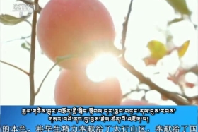 ཀྲུང་དབྱང་གསར་འགྱུར་མཉམ་བསྒྲགས།  ༼༡༨.༨.༡༣༽