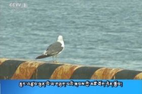 ཀྲུང་དབྱང་གསར་འགྱུར་མཉམ་བསྒྲགས།  ༼༡༨.༨.༢༦༽