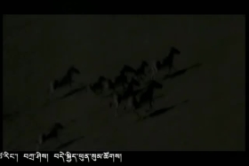 ཁམས་པའི་དགའ་ཚལ།  ༼བོད་སྐད། ༡༨.༠༧.༡༢༽