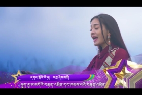 དགའ་སྤྲོའི་ཕོ་ཉ།  ༼༨.༢༦༽