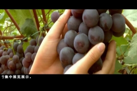 ཡོན་ཏན་ཚན་རིག་གླིང་།  ༼༡.༢༣༽