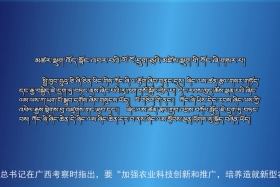 ཀྲུང་དབྱང་གསར་འགྱུར་མཉམ་བསྒྲགས།  ༼༡༨.༡༢.༨༽