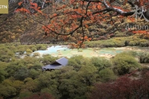 Four seasons of Huanglong, a fairyland on earth