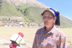 Aba Takes Measures to Develop Characteristic Industry