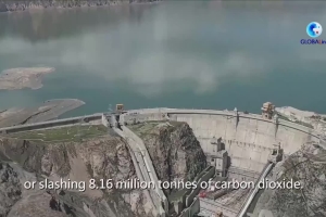 China's Qinghai launches clean energy campaign