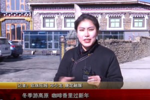 冬季游高原 咖啡香里过新年