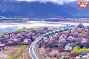 Train bound for spring