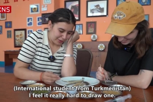 Foreign friends learn grain painting in NW China's Qinghai