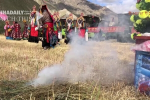 Village in Tibet celebrates farmers' harvest
