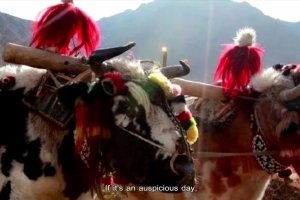 Tibetan Folk Culture II