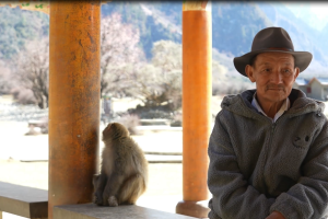Live By the River – The Monkey King