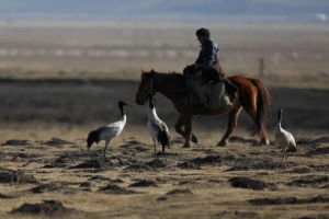 Live By the River – The Quest for Beauty