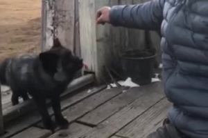 Daily life of Ruke and his wife, patrollers of Zoige Wetland National Nature Reserve, Aba
