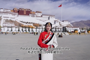 Diary on Plateau: The magnificence of Potala Palace