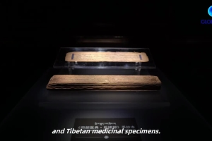 Discover the charm of Tibetan medicine at museum