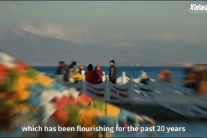 Qinghai Lake: A growing natural wonder