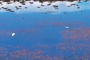 Beautiful wetland on Qinghai-Xizang Plateau