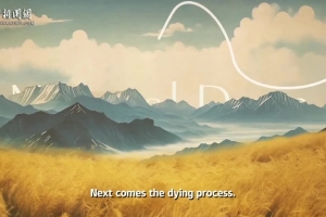 Tibetan carpets: combination of beauty and durability