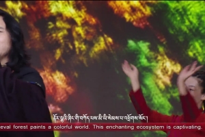 Cultural Hometown, Blessed Zantang