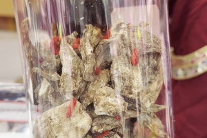 Mima Tsering, a staff member of the agriculture and husbandry cooperative of Sumzom County, Bome, Nyingchi, introduces Bome's local agricultural products