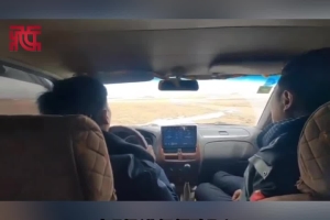 Nagqu, Xizang: A Snow Leopard Rescued and Returns to Nature