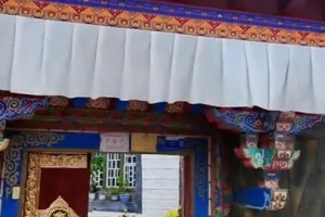 Xizang's peach village thrives on eco-tourism boom