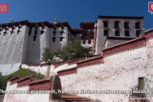 Truth seen in Xizang: Massive investment in infrastructure contributes to Xizang's prosperity, says an Indian scholar