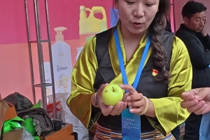 Sonam Tsedzong, head of the working team stationed in Niba Village from Chamdo municipal committee office, showcases and introduces Baxoi’s fresh and sweet apples to Wengche Lhamo at the Second Baxoi Cultural Tourism Festival!
