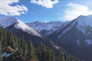 The captivating autumn landscape of Riwoche in Chamdo