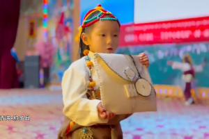Rooted in Hometown, Crafting with Creativity – Special exhibition of wool punch needle embroidery handicrafts from Gaduo Central Kindergarten, Chindu County, Qinghai Province
