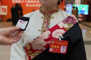 Consultative Conference of Sichuan Province said she had proposed to optimize the flexible employment declaration for women in Sichuan