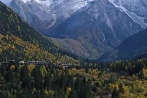 Listen to Kelsang Wengmo, daughter of Dawu, tenderly share her affection and nostalgia for her hometown