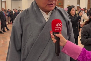 Nyagyaltsen, a deputy to the 14th National People's Congress, said he mainly focuses on environmental protection and clean energy development in Tibetan-inhabited areas