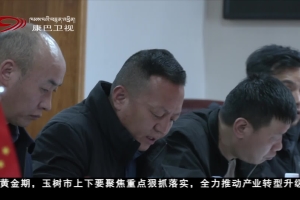 玉树市召开2026年一季度经济运行调度暨项目工作推进会