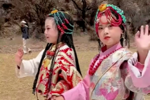 Apricot blossoms are blooming in Dawu, and so are these adorable little models