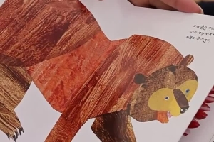 Bridging Worlds: Nuonuo Publishes 50+ Picture Books for Xizang's Children