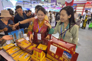 Join Tsogyal to tour the Xizang booth at the 10th South Asia Expo