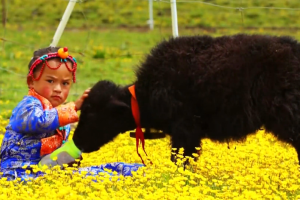 A Tibetan girl from a nomadic herder family on Bathang Grassland in Yushu Tibetan Autonomous Prefecture