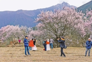 西藏林芝：鄉村美如畫 生活更紅火