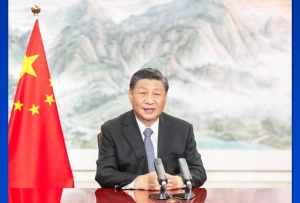 第一觀察丨保護濕地，習近平主席提出的這一全球行動為何如此重要？